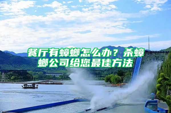 餐厅有蟑螂怎么办？杀蟑螂公司给您最佳方法