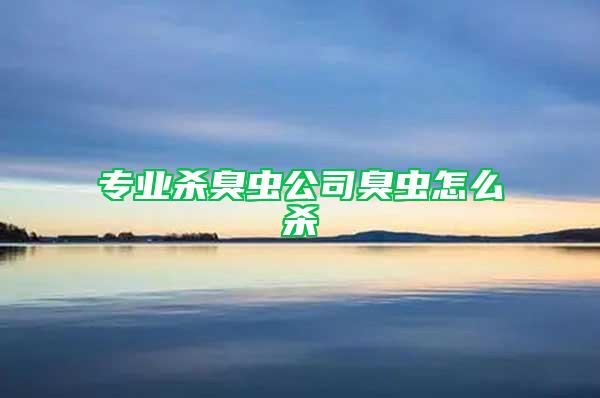 专业杀臭虫公司臭虫怎么杀