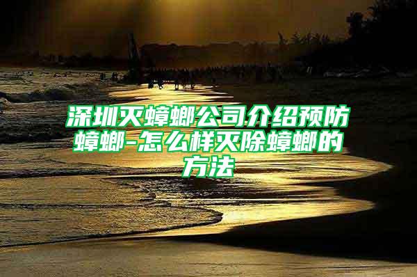 深圳灭蟑螂公司介绍预防蟑螂-怎么样灭除蟑螂的方法