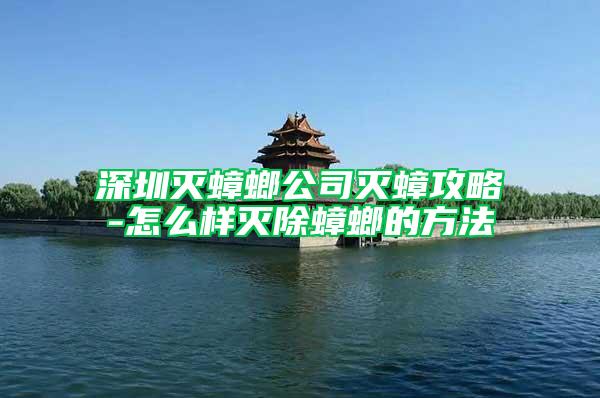 深圳灭蟑螂公司灭蟑攻略-怎么样灭除蟑螂的方法