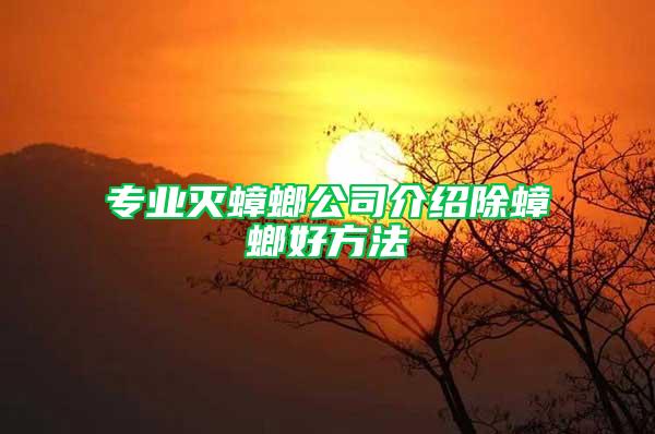 专业灭蟑螂公司介绍除蟑螂好方法