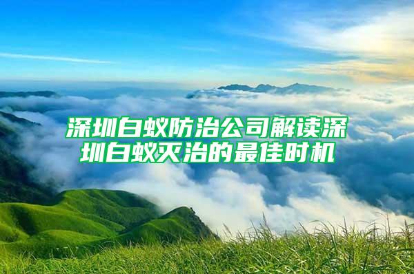 深圳白蚁防治公司解读深圳白蚁灭治的最佳时机