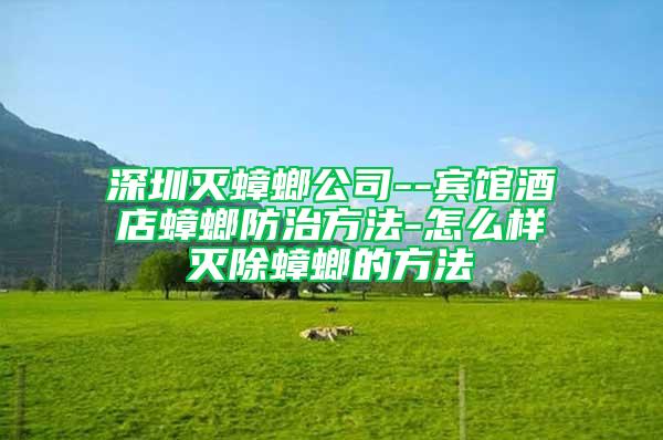 深圳灭蟑螂公司--宾馆酒店蟑螂防治方法-怎么样灭除蟑螂的方法