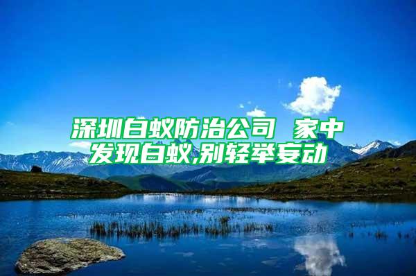 深圳白蚁防治公司 家中发现白蚁,别轻举妄动