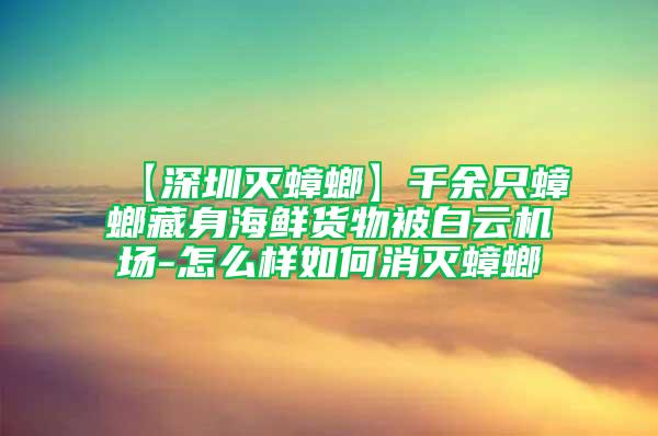 【深圳灭蟑螂】千余只蟑螂藏身海鲜货物被白云机场-怎么样如何消灭蟑螂