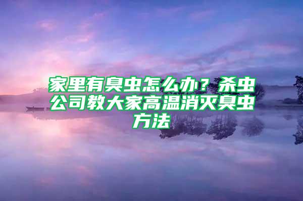 家里有臭虫怎么办？杀虫公司教大家高温消灭臭虫方法