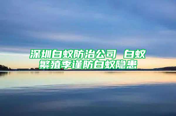 深圳白蚁防治公司 白蚁繁殖季谨防白蚁隐患