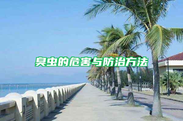 臭虫的危害与防治方法