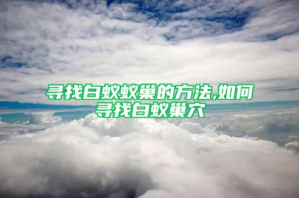寻找白蚁蚁巢的方法,如何寻找白蚁巢穴