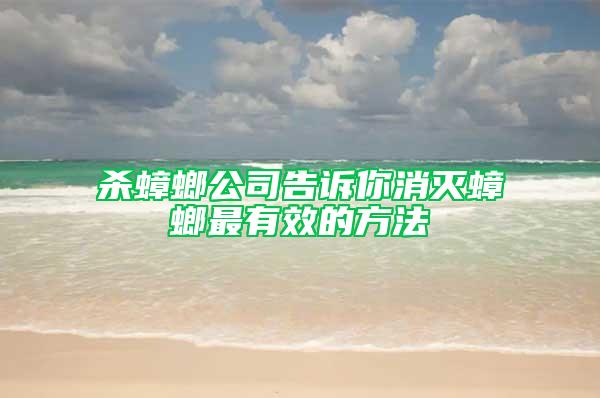 杀蟑螂公司告诉你消灭蟑螂最有效的方法