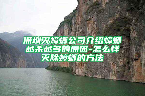 深圳灭蟑螂公司介绍蟑螂越杀越多的原因-怎么样灭除蟑螂的方法