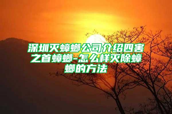 深圳灭蟑螂公司介绍四害之首蟑螂-怎么样灭除蟑螂的方法