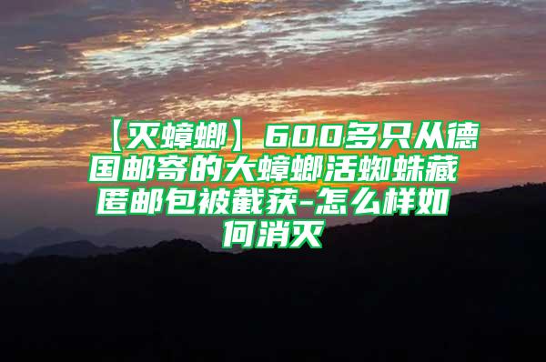 【灭蟑螂】600多只从德国邮寄的大蟑螂活蜘蛛藏匿邮包被截获-怎么样如何消灭