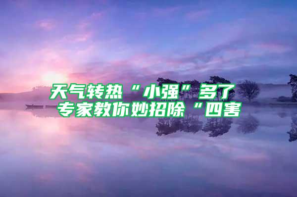 天气转热“小强”多了 专家教你妙招除“四害