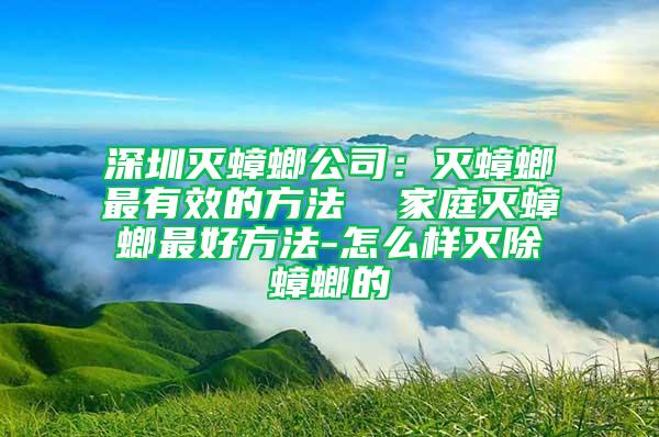 深圳灭蟑螂公司：灭蟑螂最有效的方法  家庭灭蟑螂最好方法-怎么样灭除蟑螂的