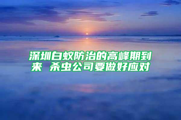 深圳白蚁防治的高峰期到来 杀虫公司要做好应对