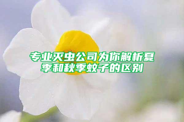 专业灭虫公司为你解析夏季和秋季蚊子的区别