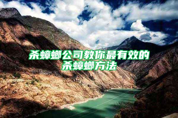 杀蟑螂公司教你最有效的杀蟑螂方法