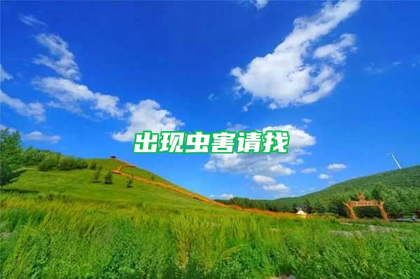 出现虫害请找