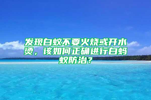 发现白蚁不要火烧或开水烫，该如何正确进行白蚂蚁防治？