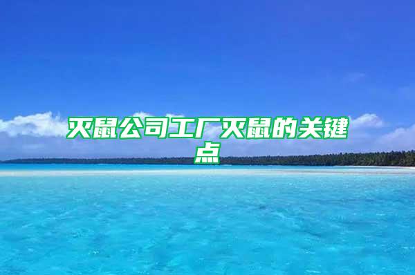 灭鼠公司工厂灭鼠的关键点