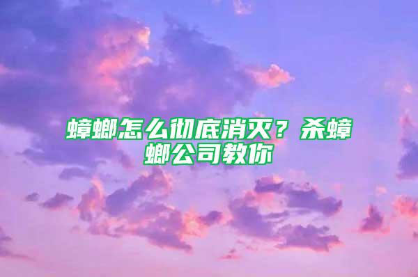 蟑螂怎么彻底消灭？杀蟑螂公司教你