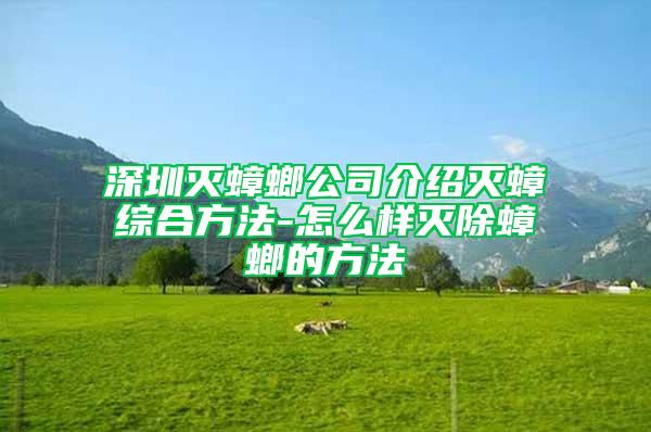 深圳灭蟑螂公司介绍灭蟑综合方法-怎么样灭除蟑螂的方法