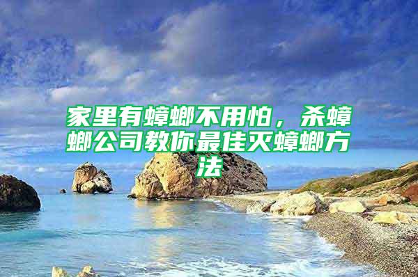 家里有蟑螂不用怕，杀蟑螂公司教你最佳灭蟑螂方法