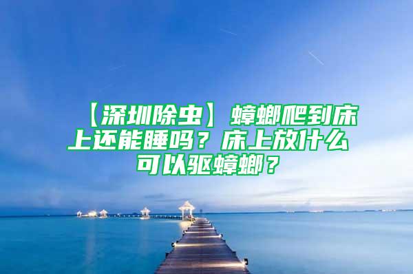 【深圳除虫】蟑螂爬到床上还能睡吗？床上放什么可以驱蟑螂？