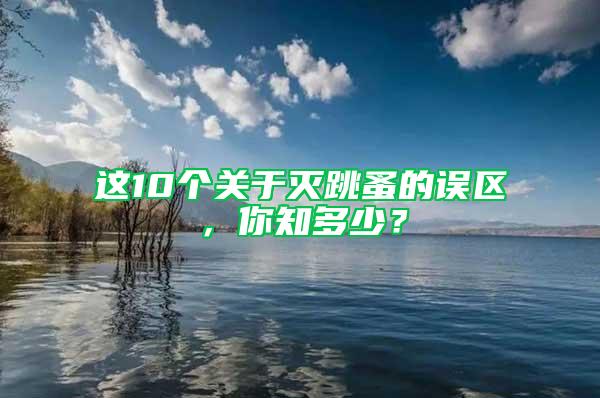 这10个关于灭跳蚤的误区，你知多少？