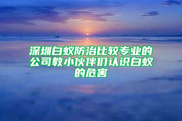 深圳白蚁防治比较专业的公司教小伙伴们认识白蚁的危害