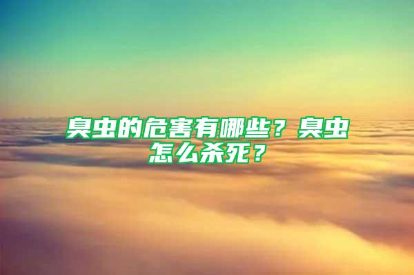 臭虫的危害有哪些？臭虫怎么杀死？