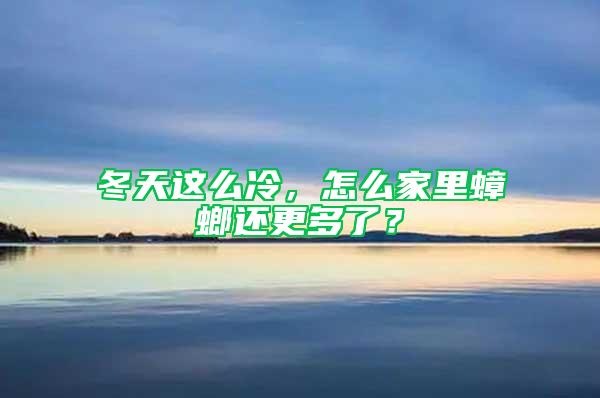 冬天这么冷，怎么家里蟑螂还更多了？