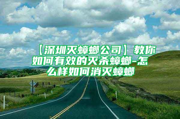 【深圳灭蟑螂公司】教你如何有效的灭杀蟑螂-怎么样如何消灭蟑螂