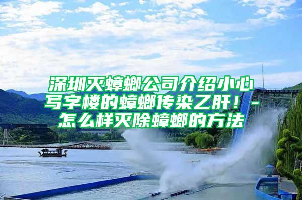 深圳灭蟑螂公司介绍小心写字楼的蟑螂传染乙肝！-怎么样灭除蟑螂的方法