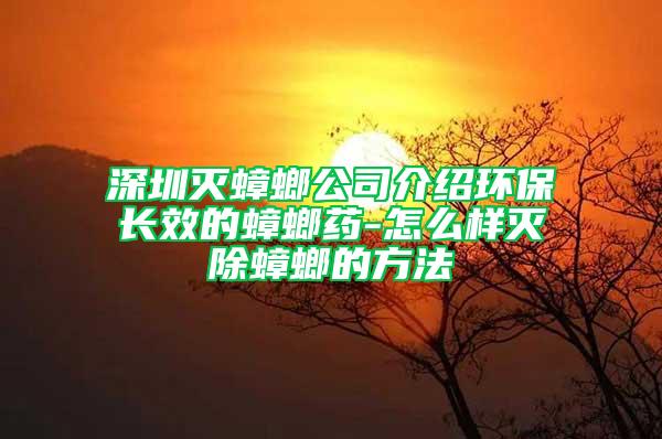 深圳灭蟑螂公司介绍环保长效的蟑螂药-怎么样灭除蟑螂的方法