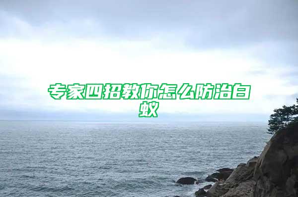 专家四招教你怎么防治白蚁