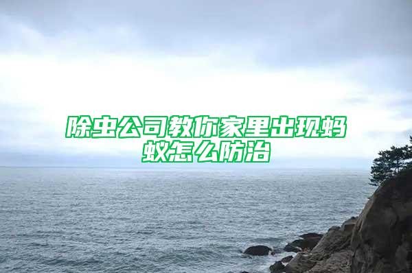 除虫公司教你家里出现蚂蚁怎么防治