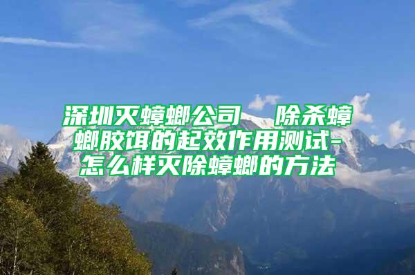 深圳灭蟑螂公司  除杀蟑螂胶饵的起效作用测试-怎么样灭除蟑螂的方法