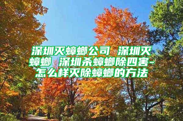 深圳灭蟑螂公司 深圳灭蟑螂 深圳杀蟑螂除四害-怎么样灭除蟑螂的方法