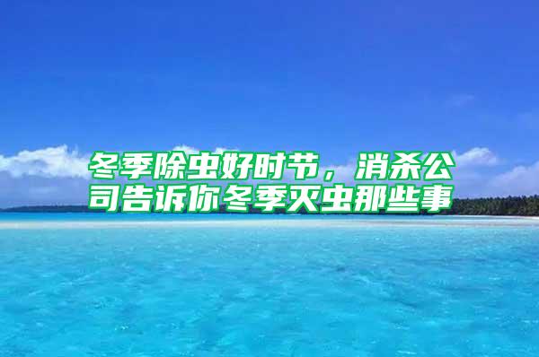 冬季除虫好时节，消杀公司告诉你冬季灭虫那些事