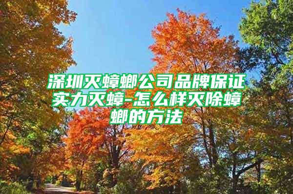 深圳灭蟑螂公司品牌保证实力灭蟑-怎么样灭除蟑螂的方法