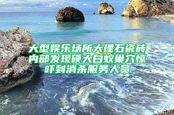 大型娱乐场所大理石瓷砖内部发现硕大白蚁巢穴惊吓到消杀服务人员