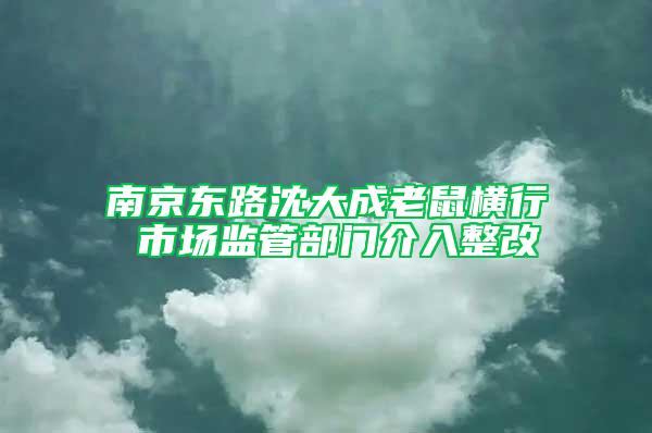 南京东路沈大成老鼠横行 市场监管部门介入整改