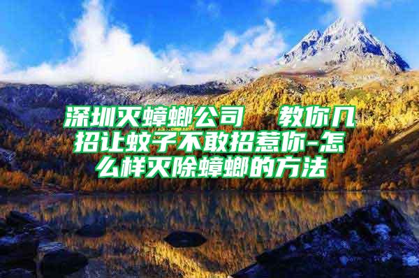 深圳灭蟑螂公司  教你几招让蚊子不敢招惹你-怎么样灭除蟑螂的方法