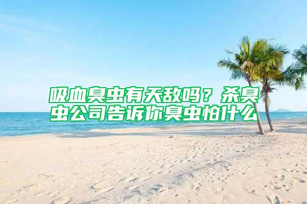 吸血臭虫有天敌吗？杀臭虫公司告诉你臭虫怕什么