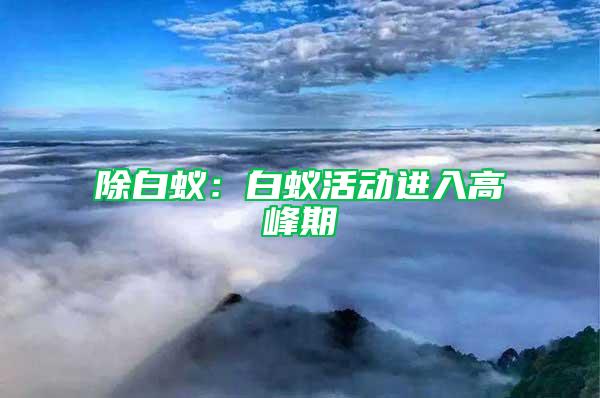 除白蚁：白蚁活动进入高峰期
