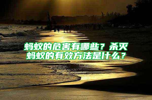 蚂蚁的危害有哪些？杀灭蚂蚁的有效方法是什么？