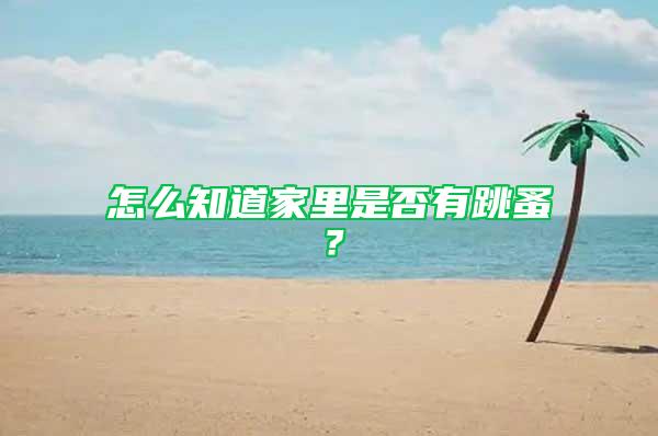 怎么知道家里是否有跳蚤？