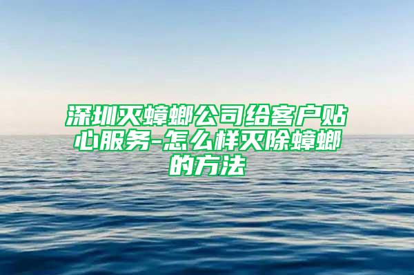 深圳灭蟑螂公司给客户贴心服务-怎么样灭除蟑螂的方法